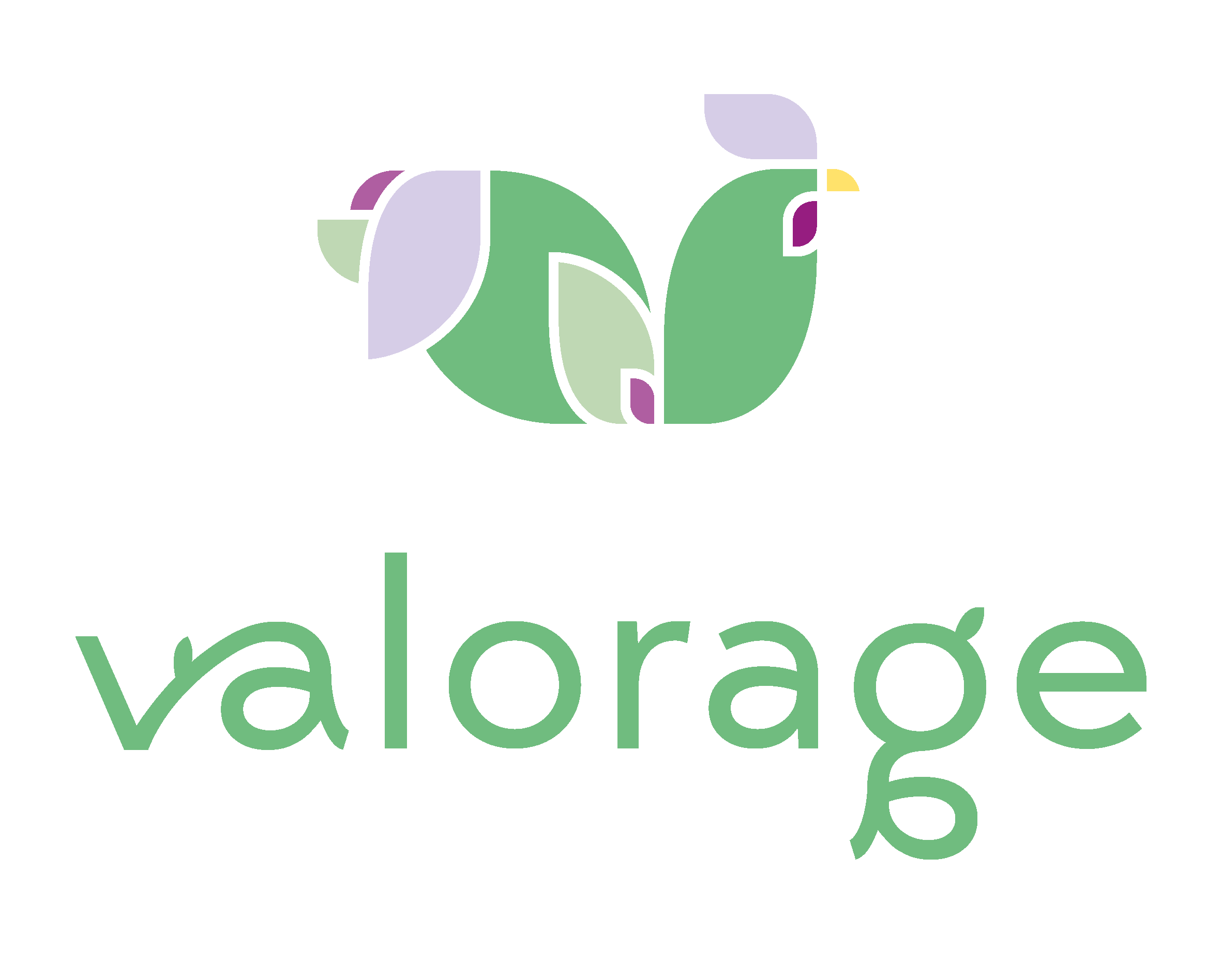 logo_Valorage