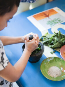 L'école comestible - adhérent INTERBIO Bretagne