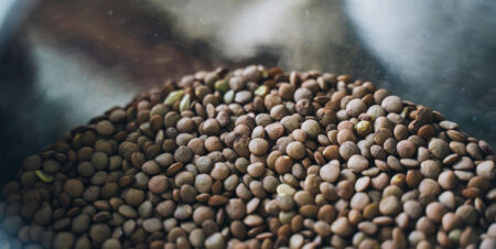 lentilles