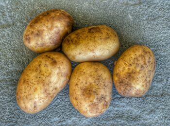 pommes de terre