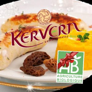 IBB-Kervern-Noel-122015-Carre